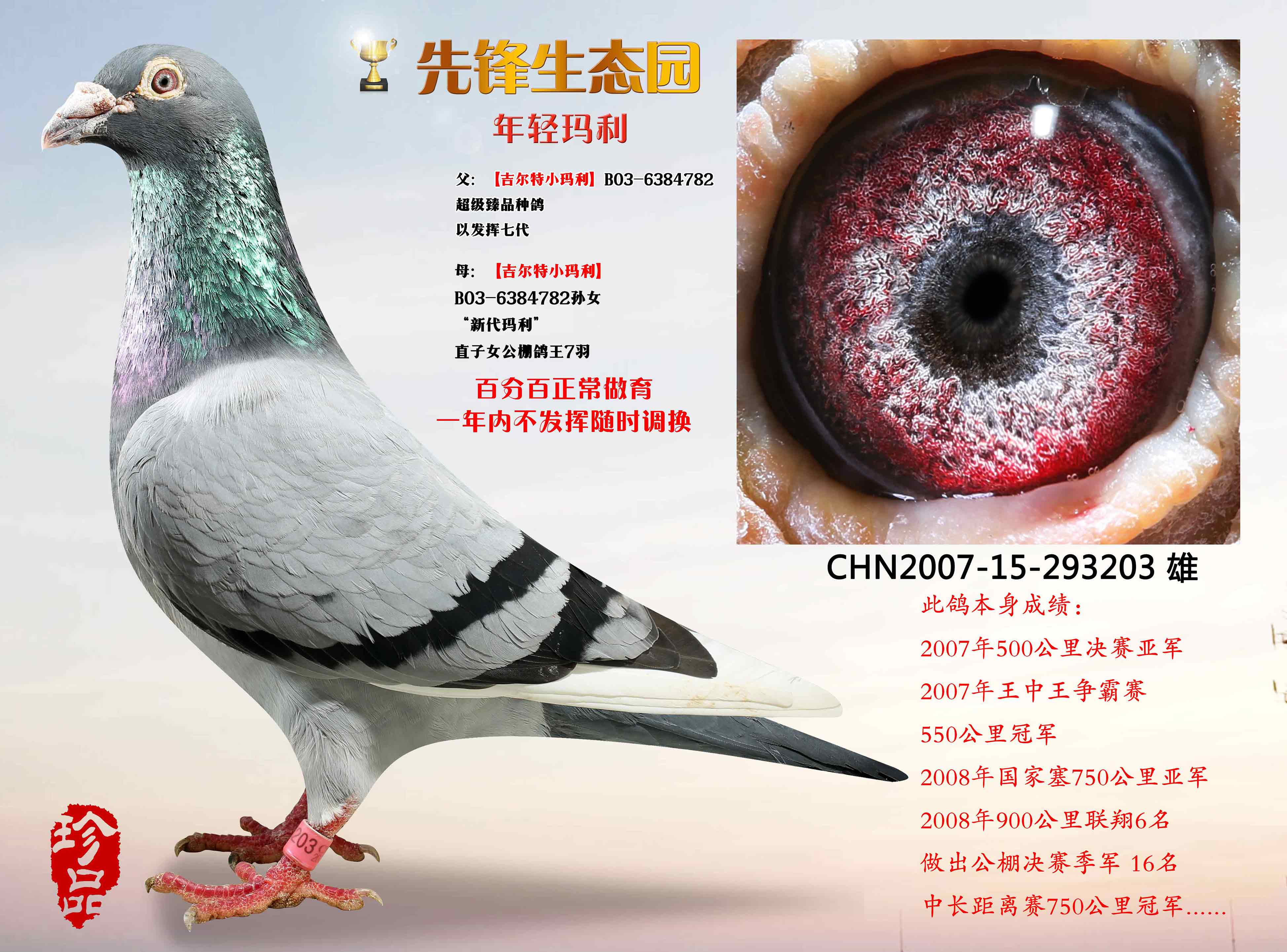 >> 查看拍卖商品