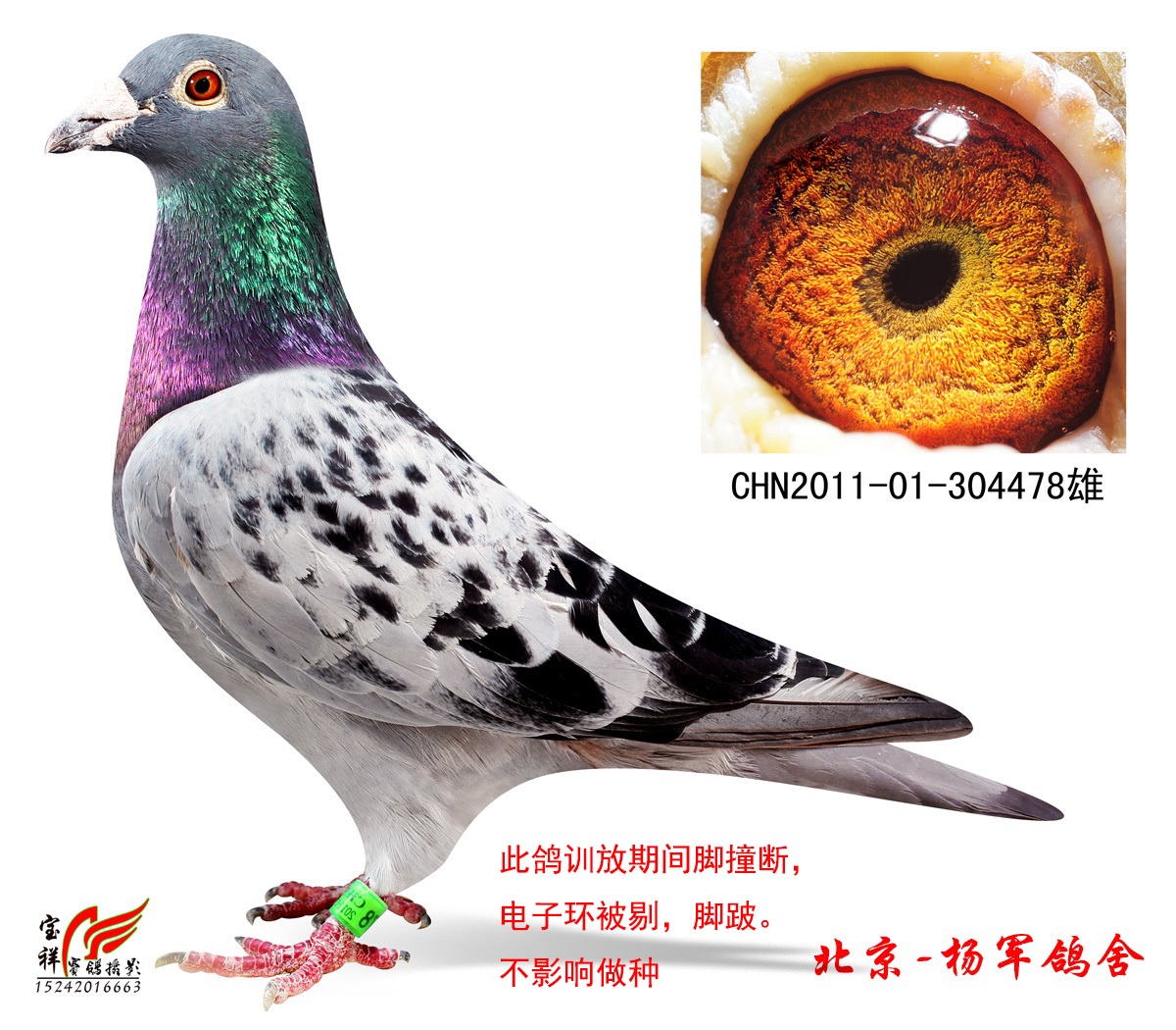 >> 查看拍卖商品
