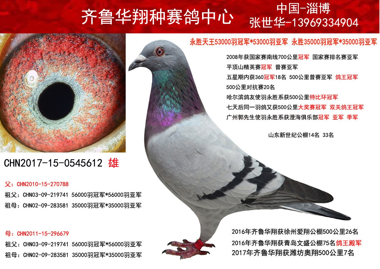 >> 查看拍卖商品