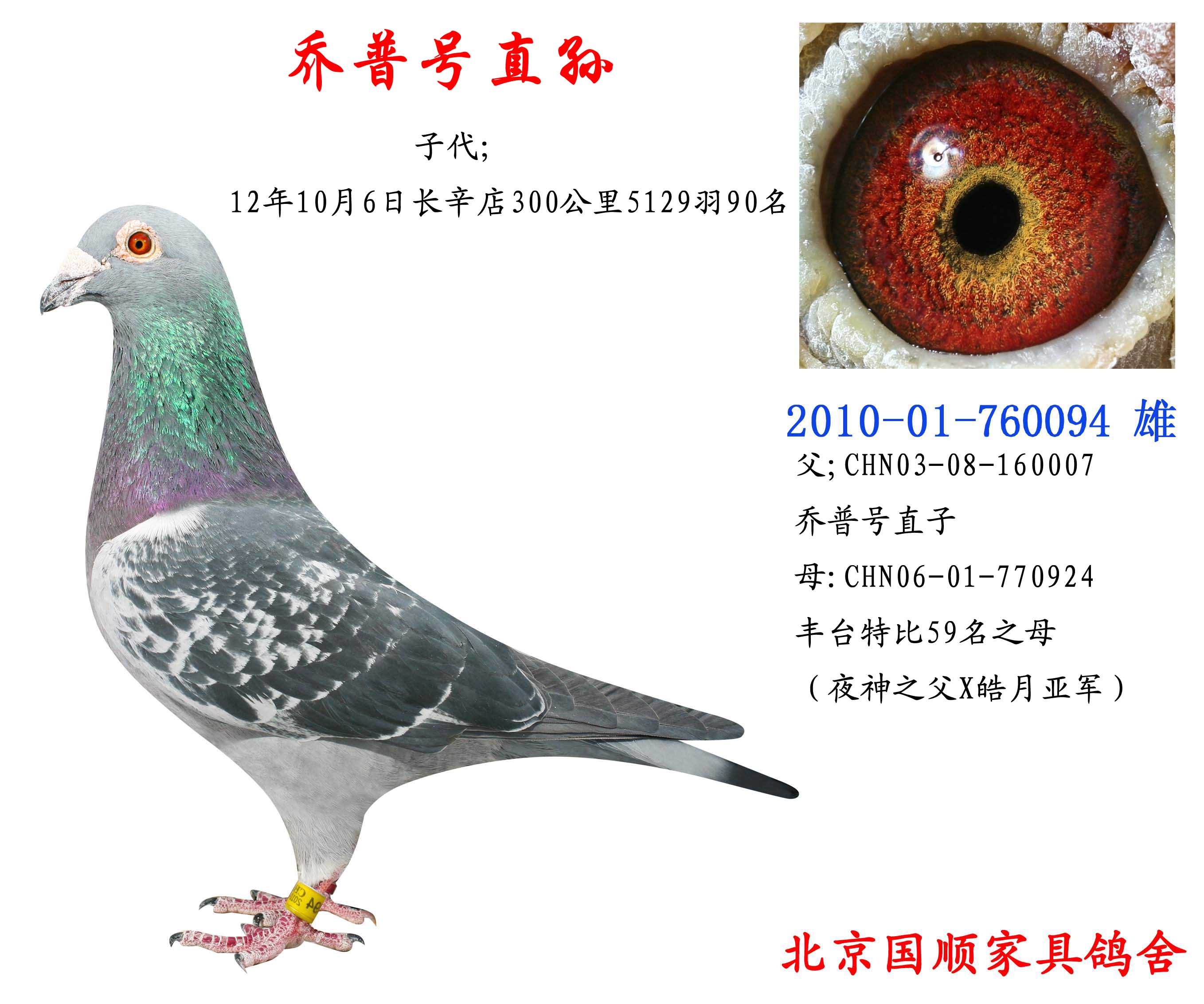 >> 查看拍卖商品