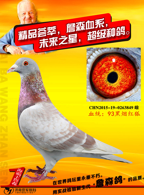 >> 查看拍卖商品