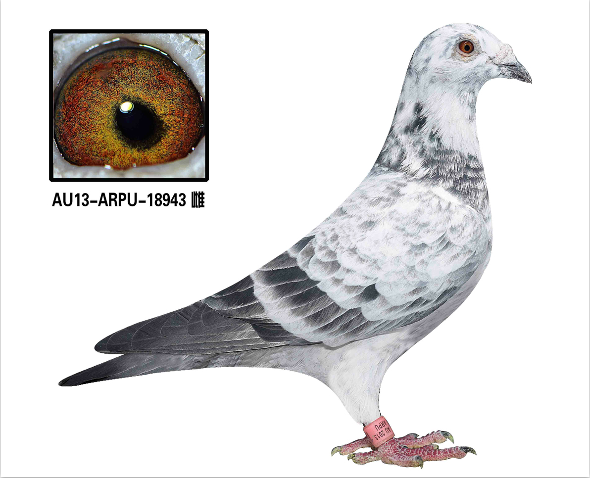 首页 拍卖专题 >> 查看拍卖商品  查看拍卖商品:         威廉杨原舍