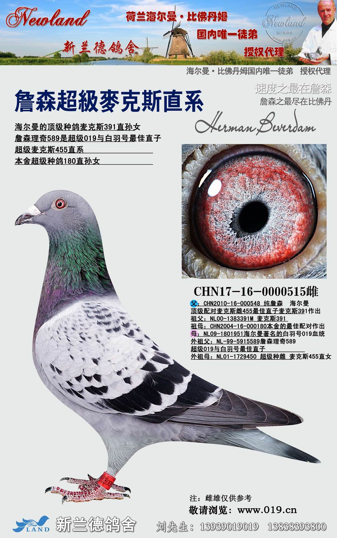 詹森超级麦克斯直系 保证金级 拍卖