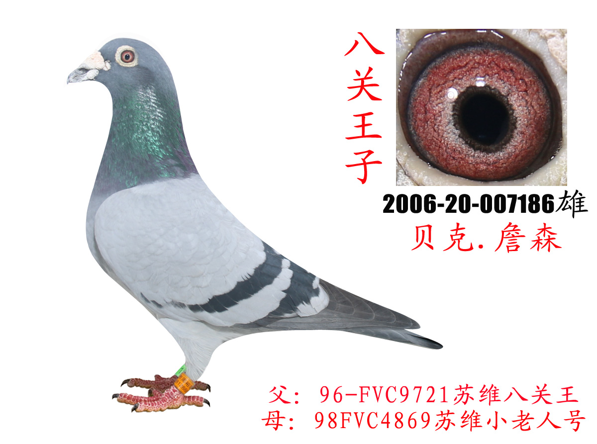 >> 查看拍卖商品