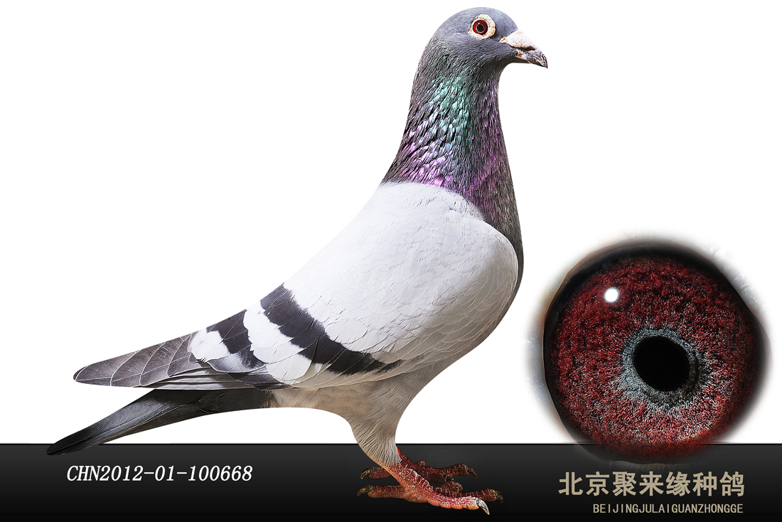 >> 查看拍卖商品