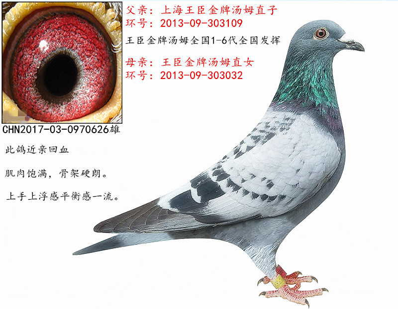 >> 查看拍卖商品