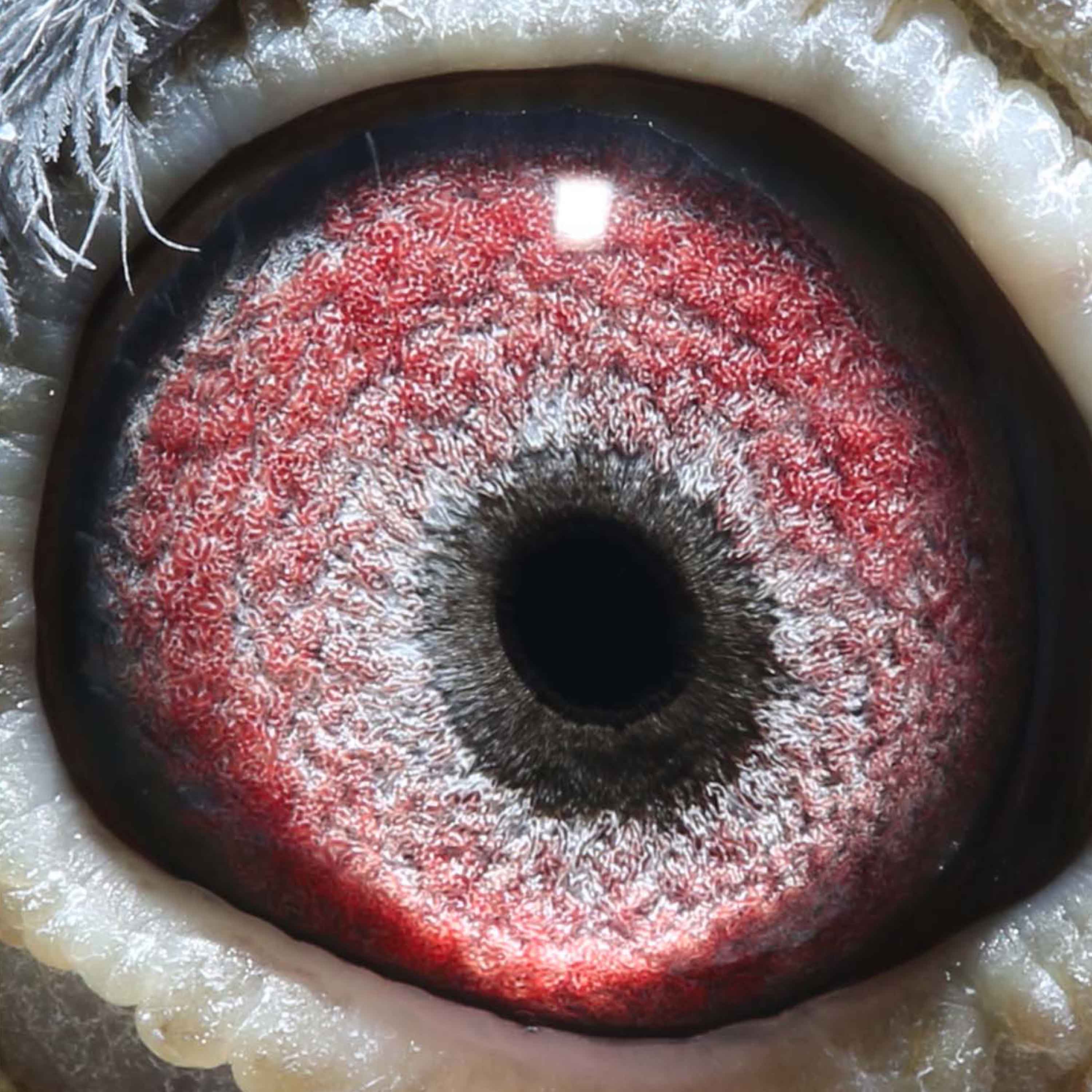 >> 查看拍卖商品