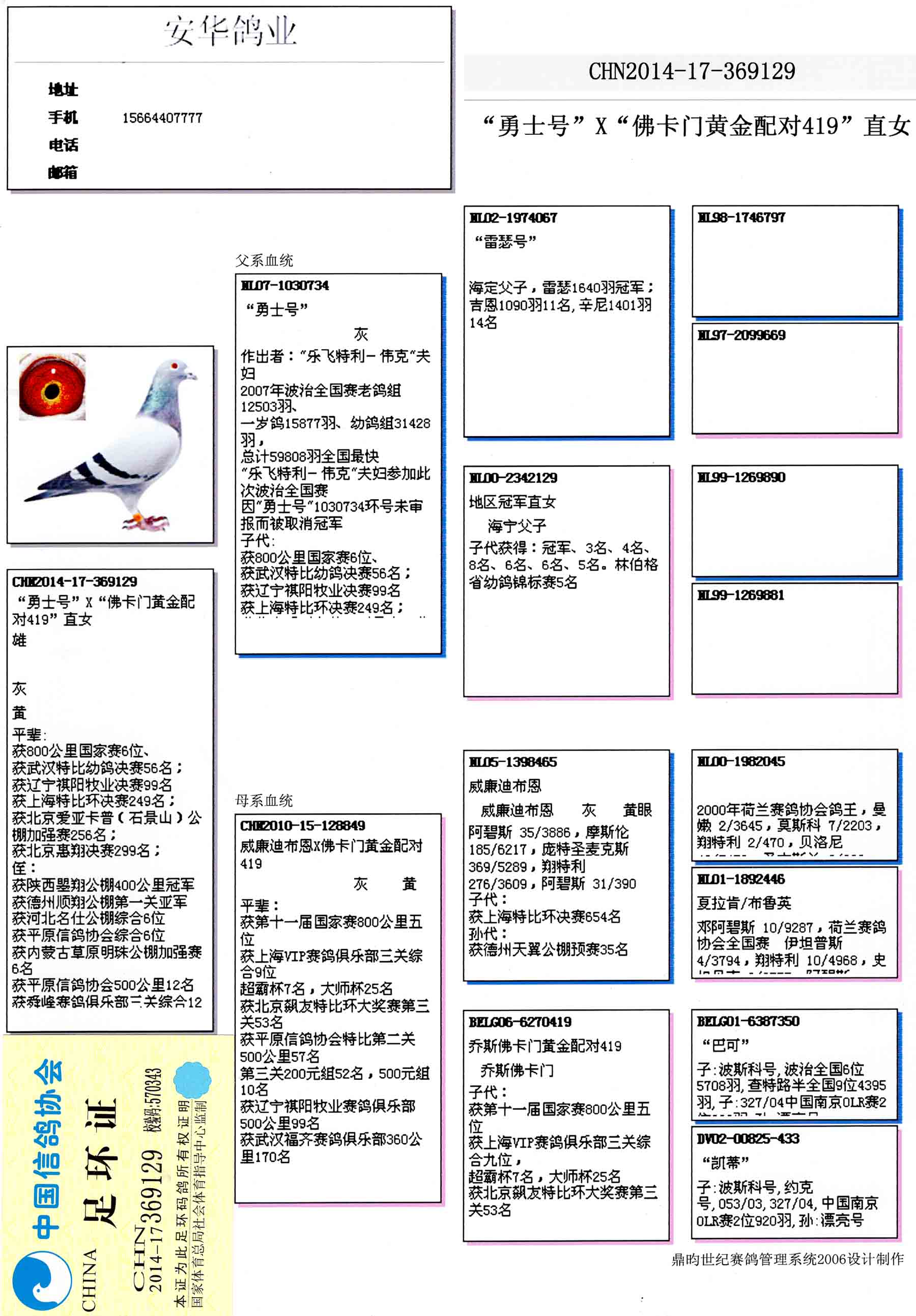 安华鸽业种鸽展厅图片