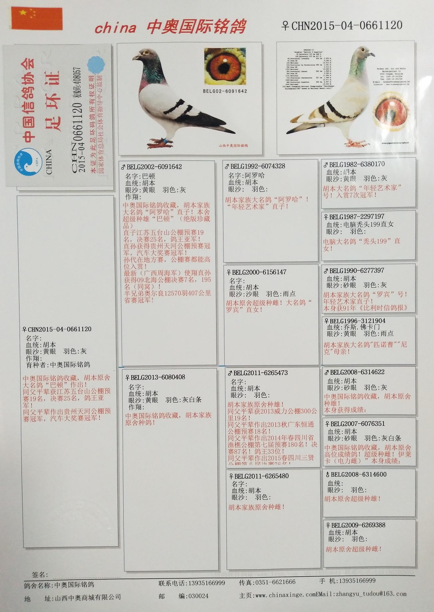 >> 查看拍卖商品