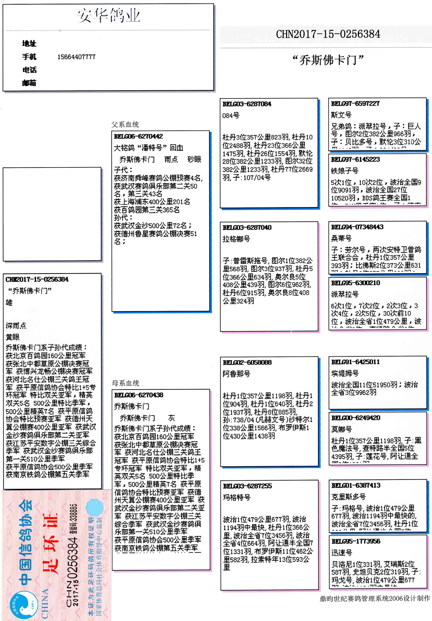 安华鸽业种鸽图片图片