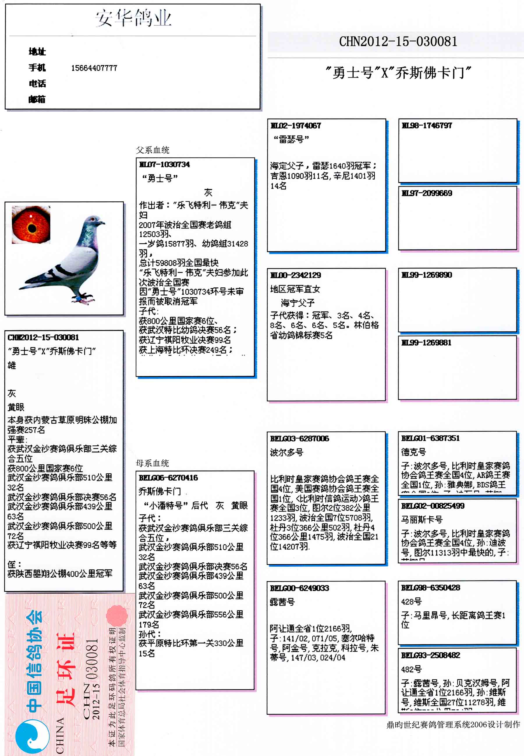 安华鸽业种鸽展厅图片