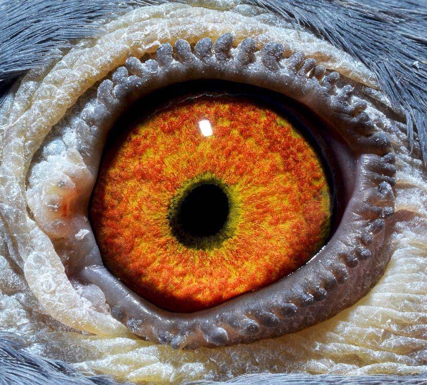 >> 查看拍卖商品