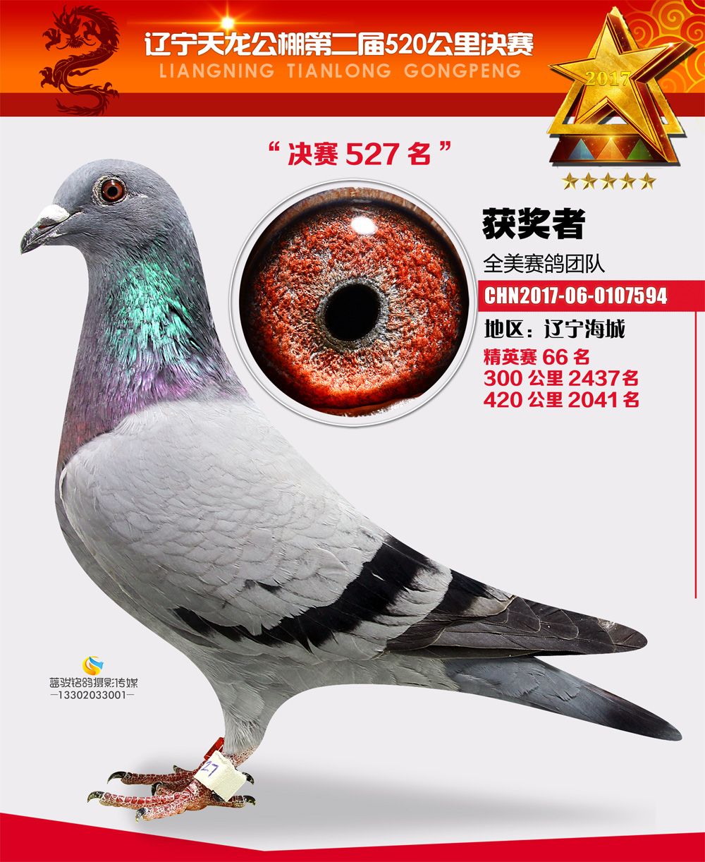 商品正在展示中