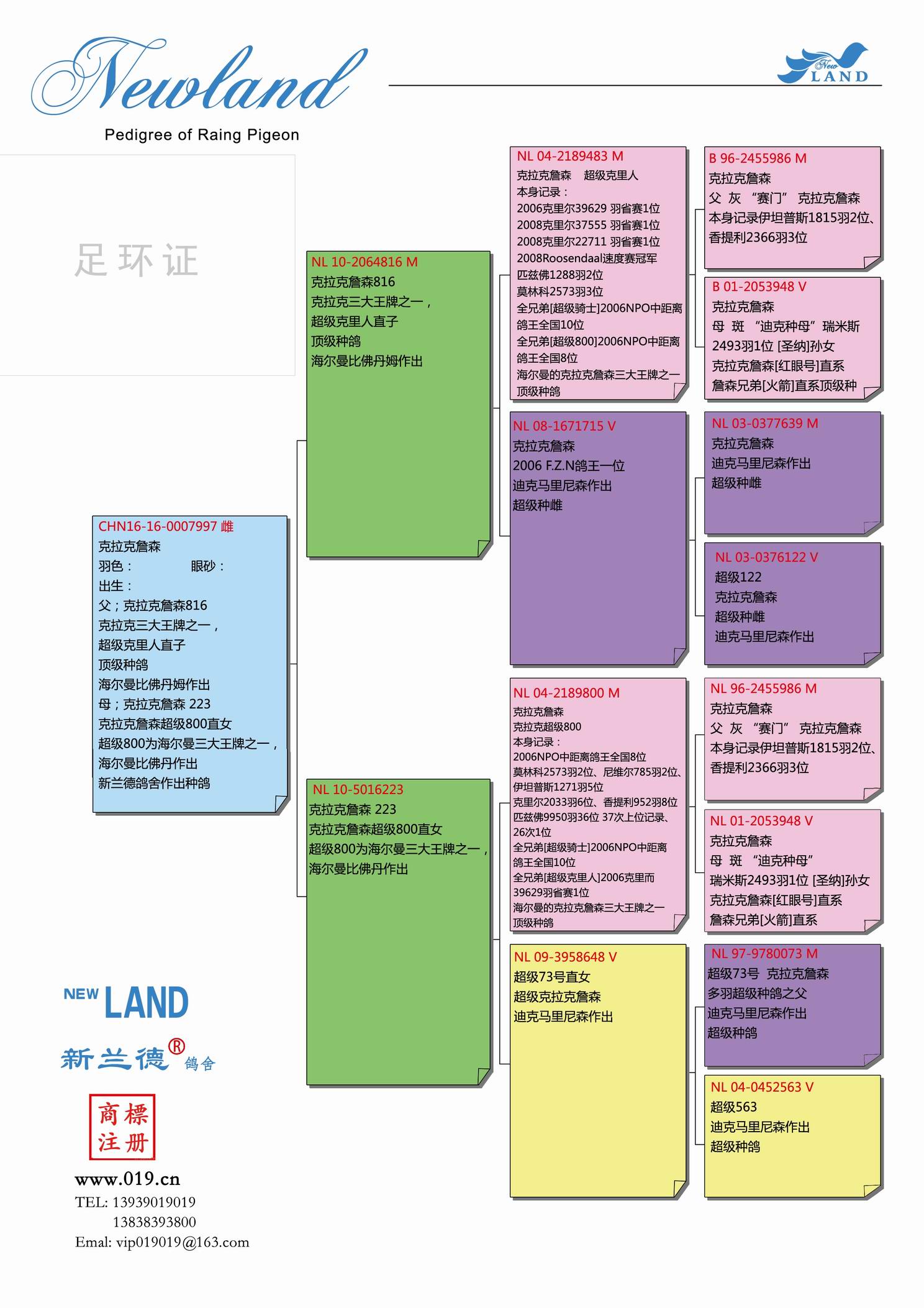 信鸽在线拍卖平台 