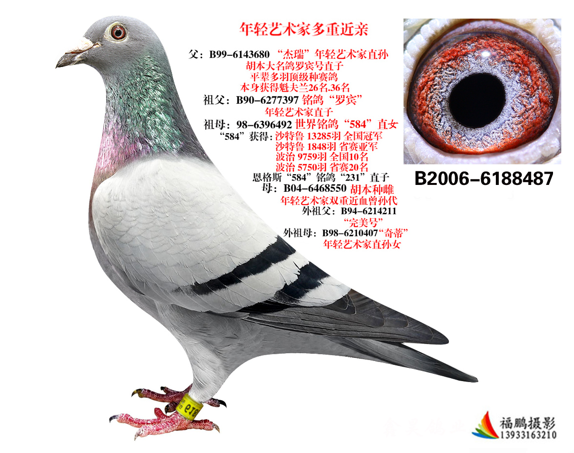 点击查看此商品大图片