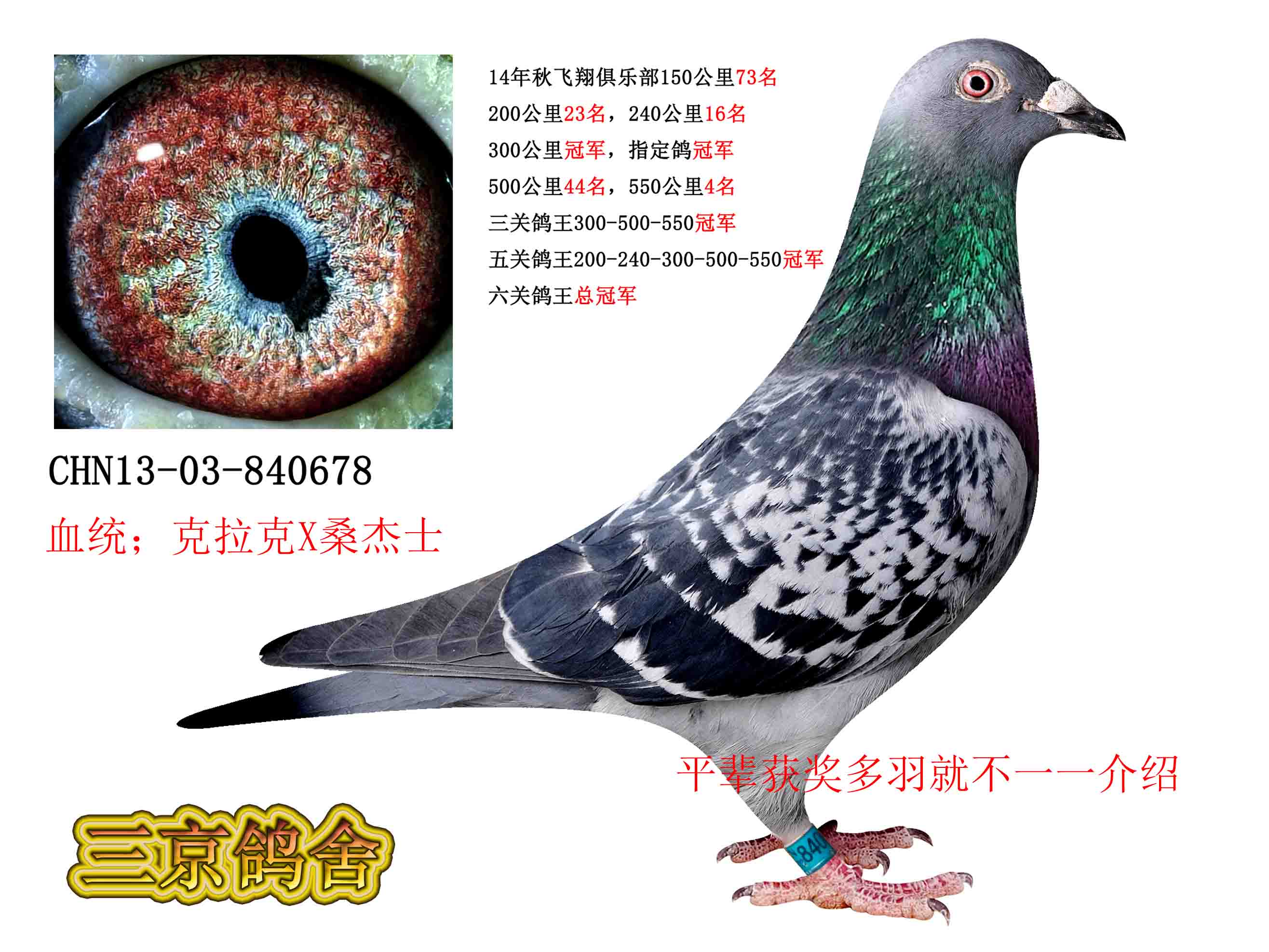 桑杰士系