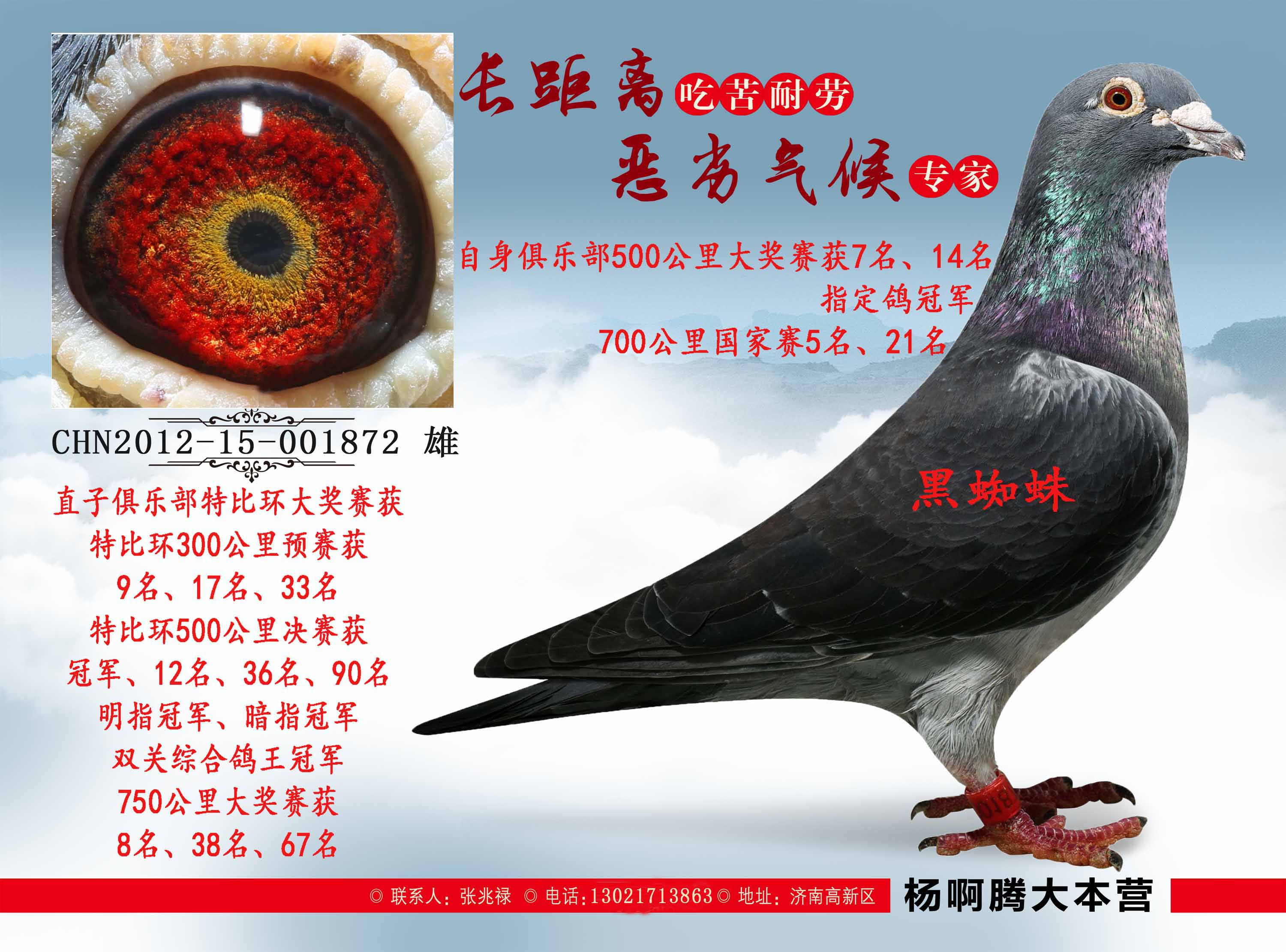 >> 查看拍卖商品