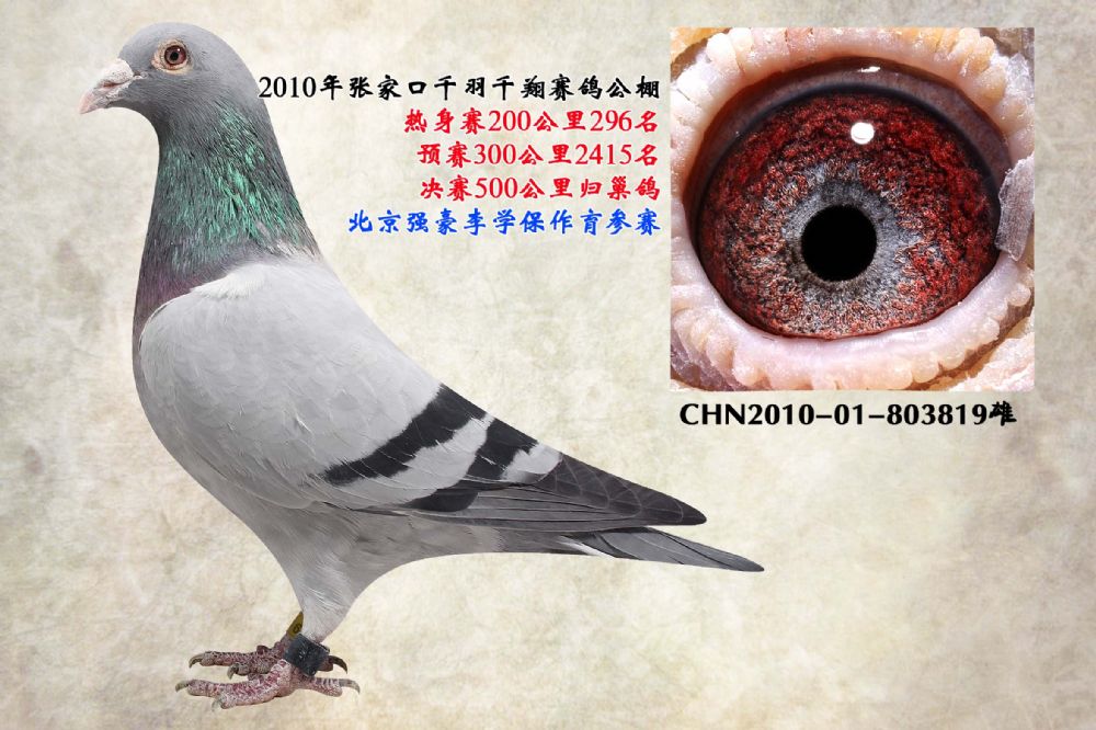 查看拍卖商品