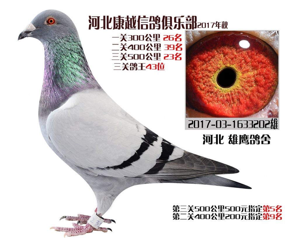 >> 查看拍卖商品