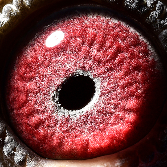 专题 >> 查看拍卖商品 相关图片         商品信息 商品编号: 592852