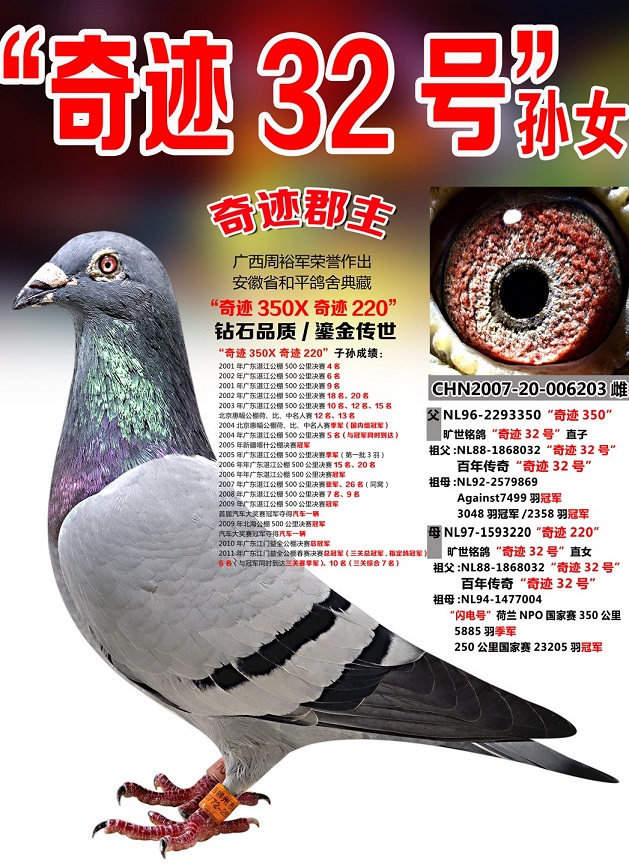 >> 查看拍卖商品