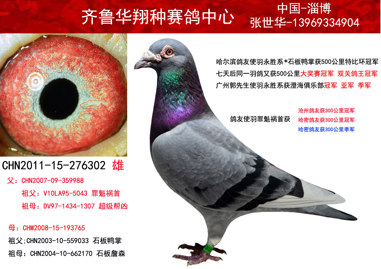 罪魁祸首*超级帮凶*石板鸭掌 保证金级 拍卖