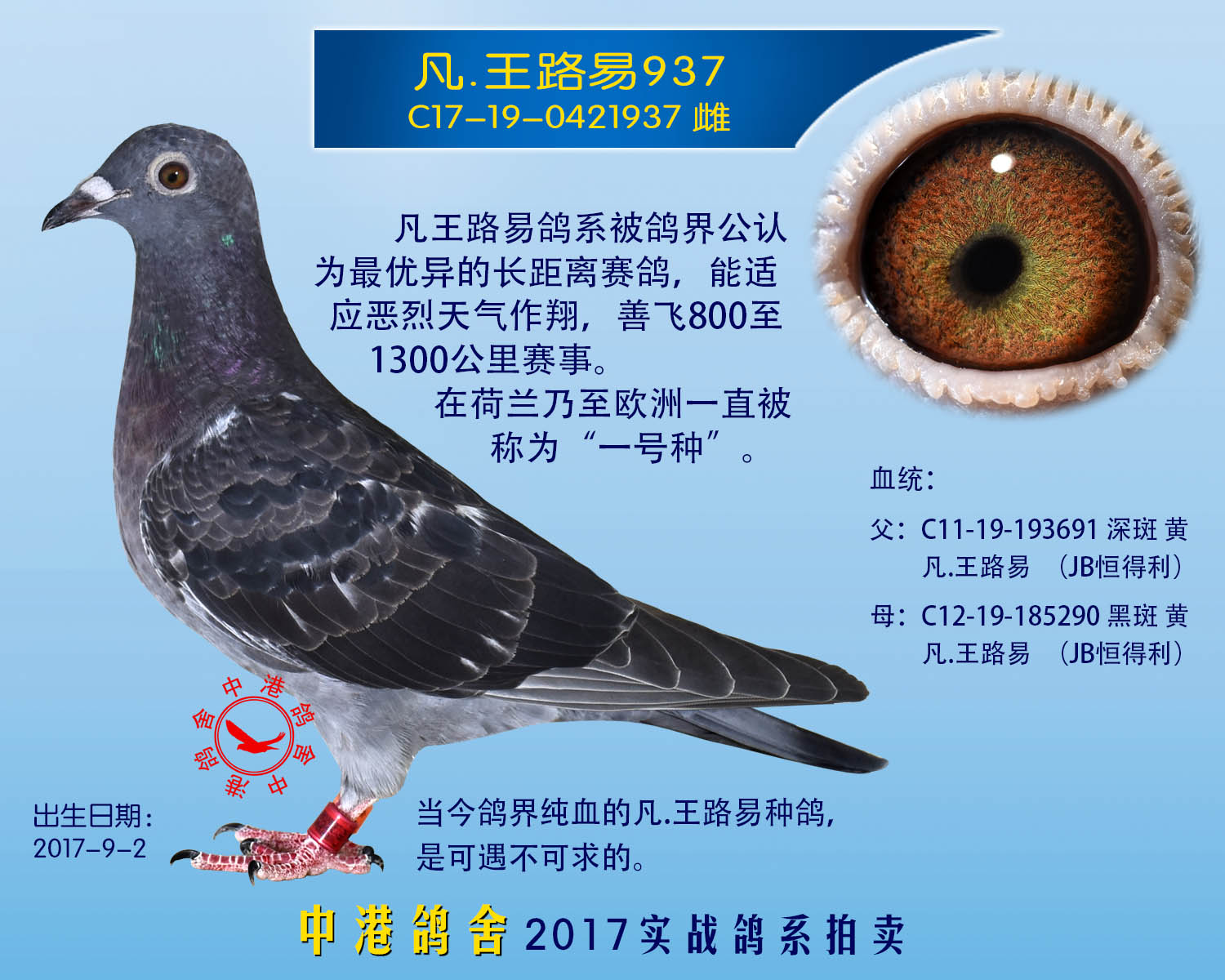 >> 查看拍卖商品