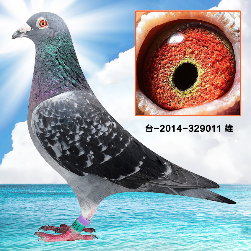 >> 查看拍卖商品