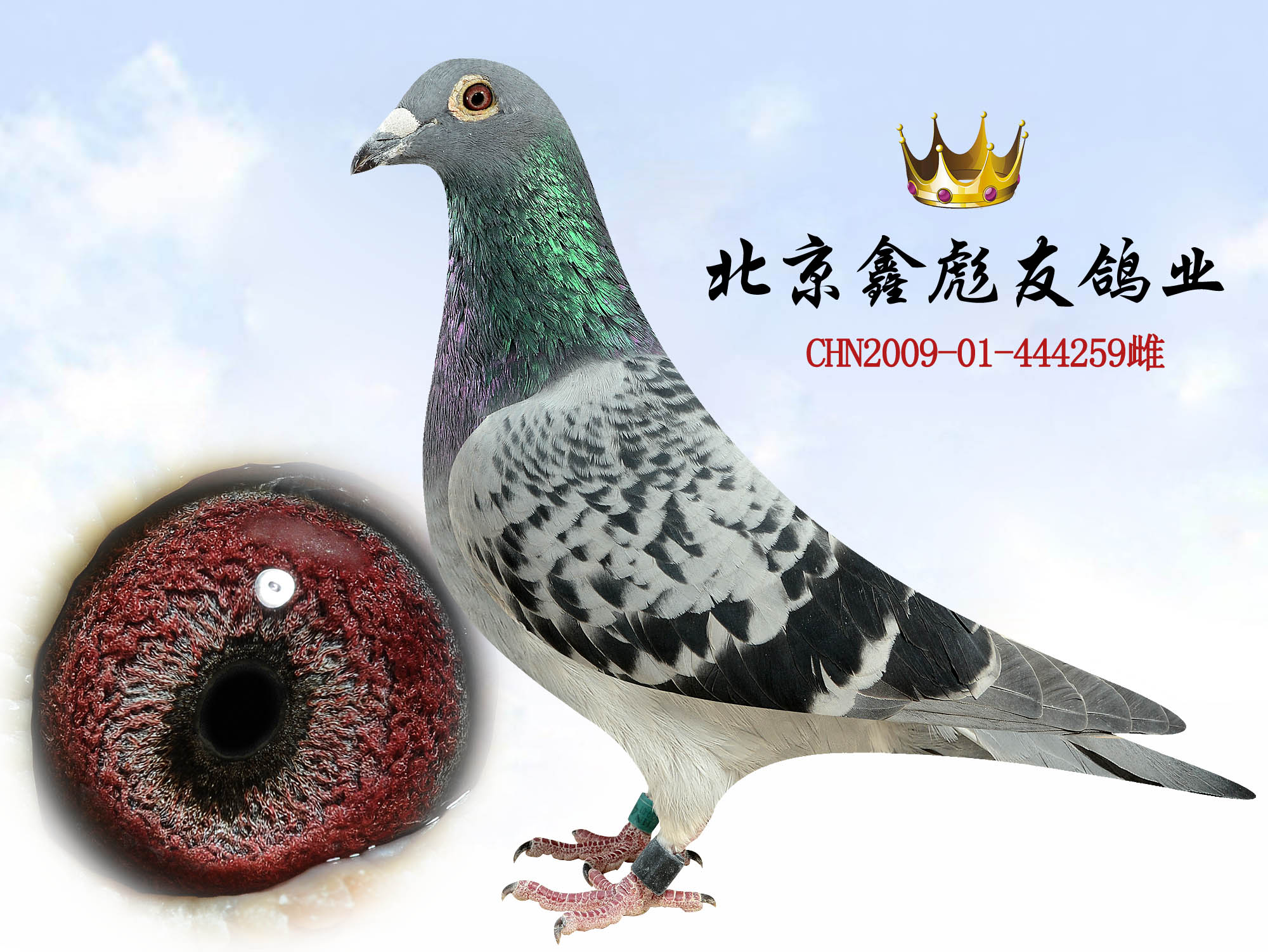 >> 查看拍卖商品