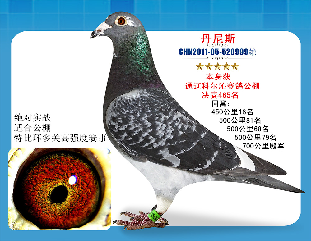 >> 查看拍卖商品