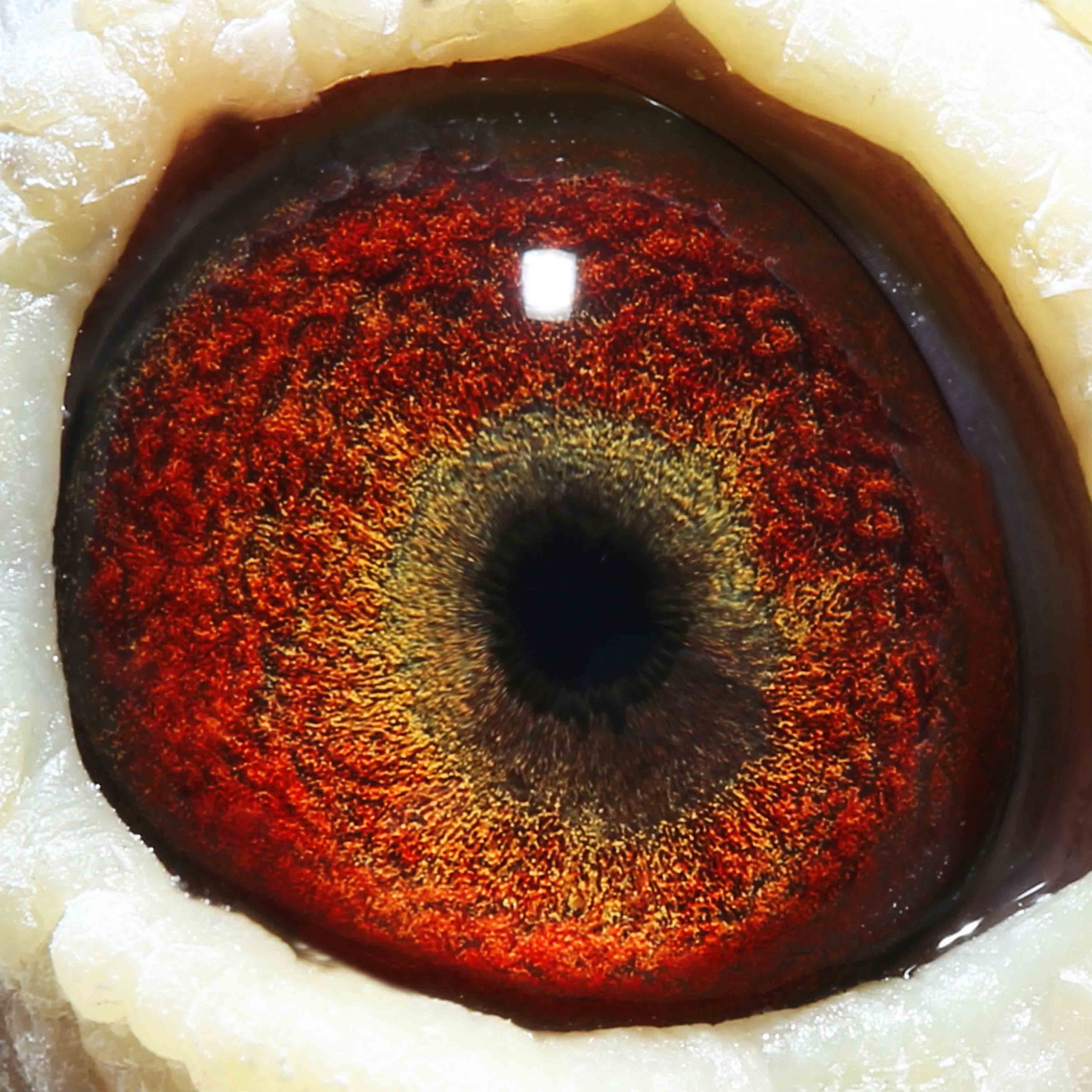 >> 查看拍卖商品