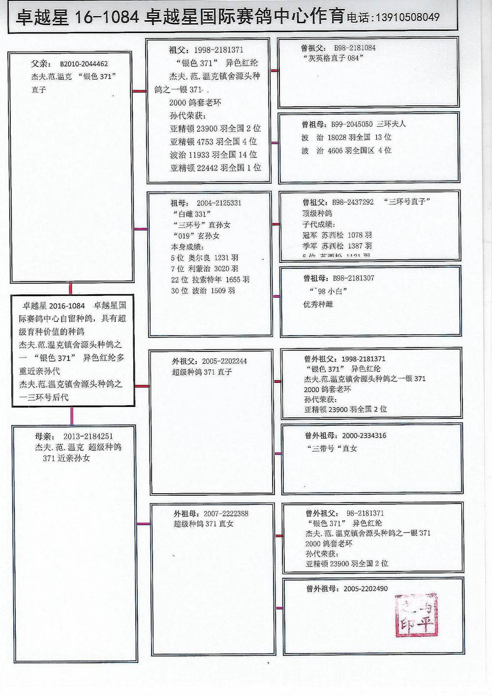 >> 查看拍卖商品