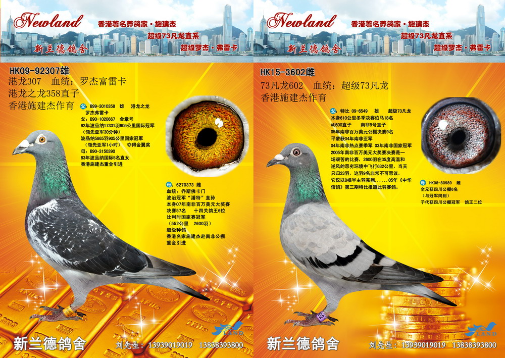 罗杰.富雷卡超级73凡龙 保证金级 拍卖