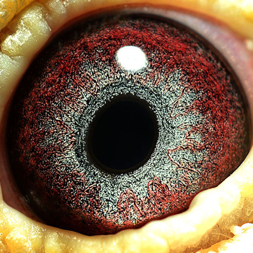 >> 查看拍卖商品