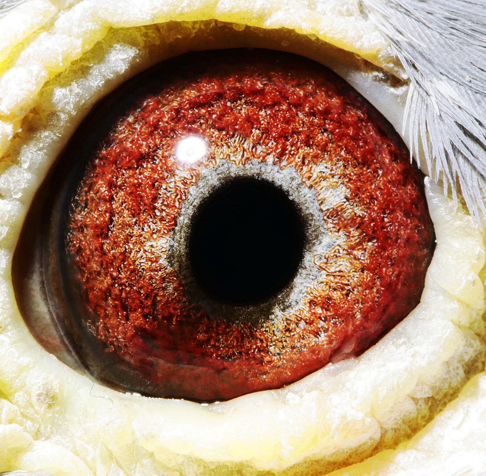 >> 查看拍卖商品