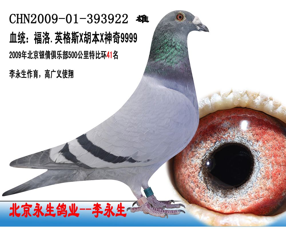 李永生393922 保证金级 拍卖