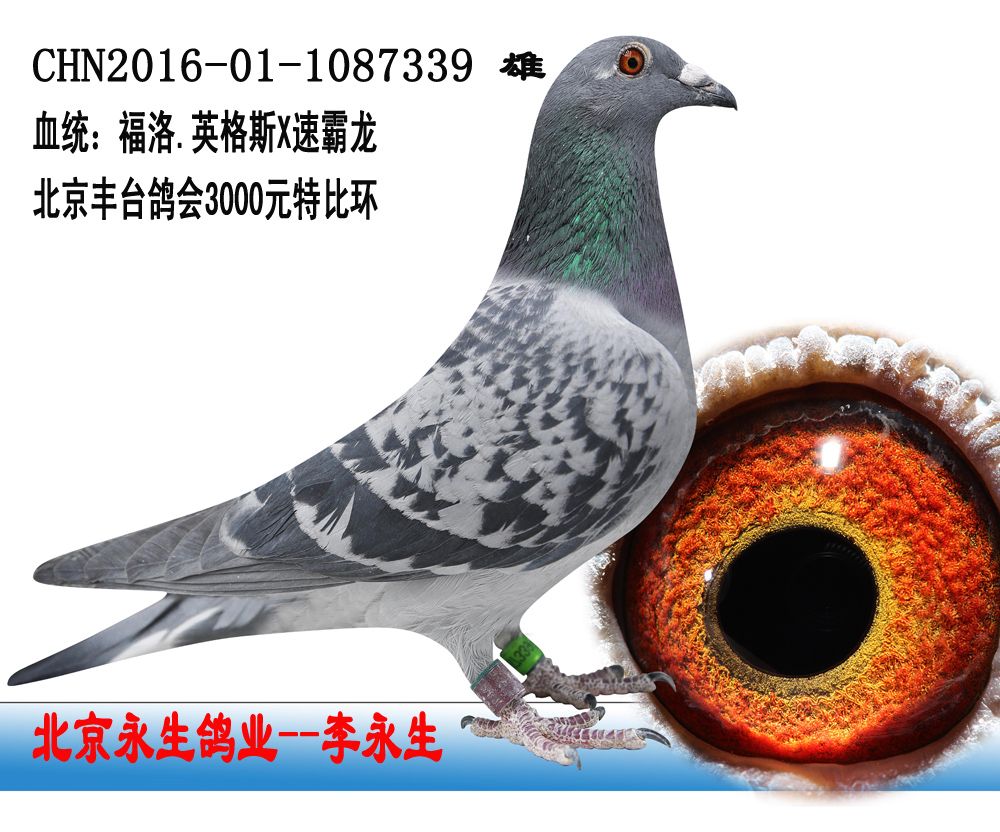 李永生1087339 保证金级 拍卖