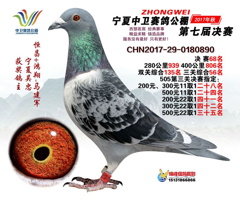 商品正在展示中