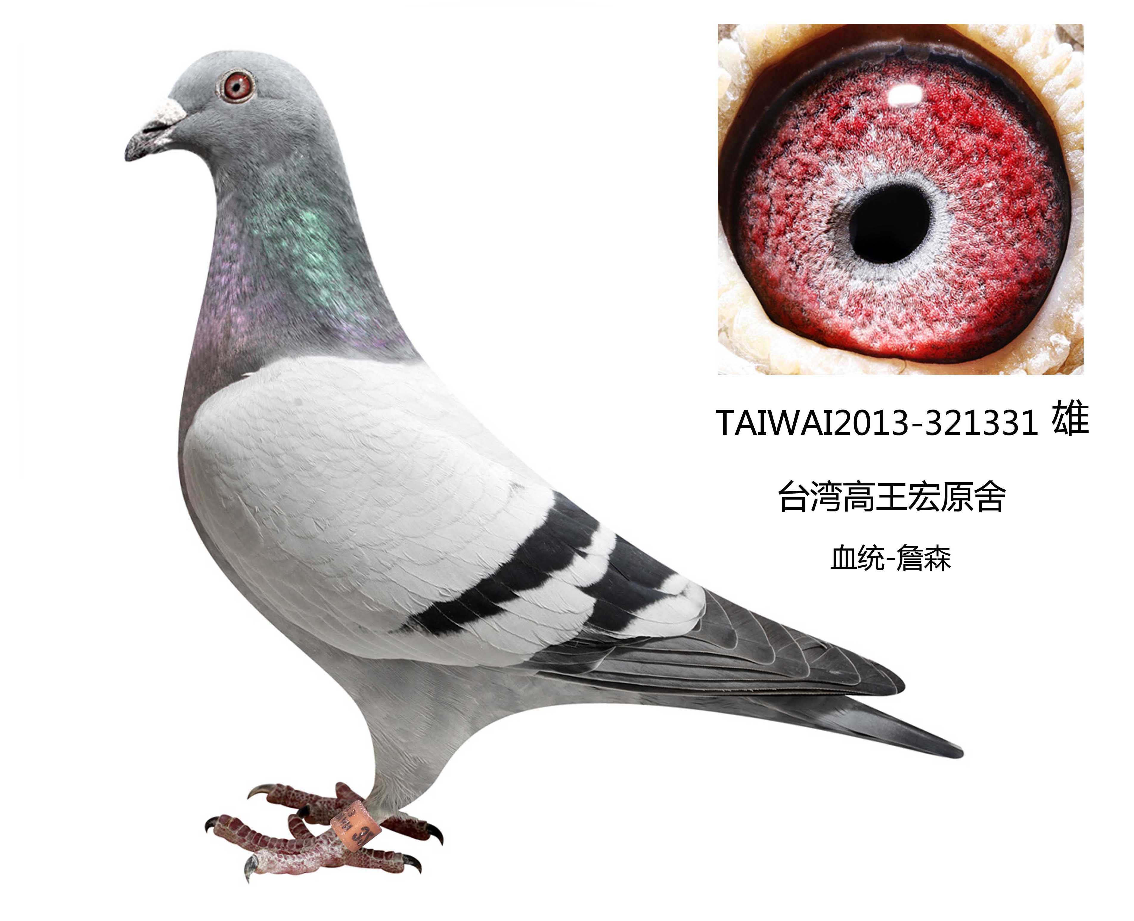 台湾明月集团"麦克斯" 保证金级 拍卖