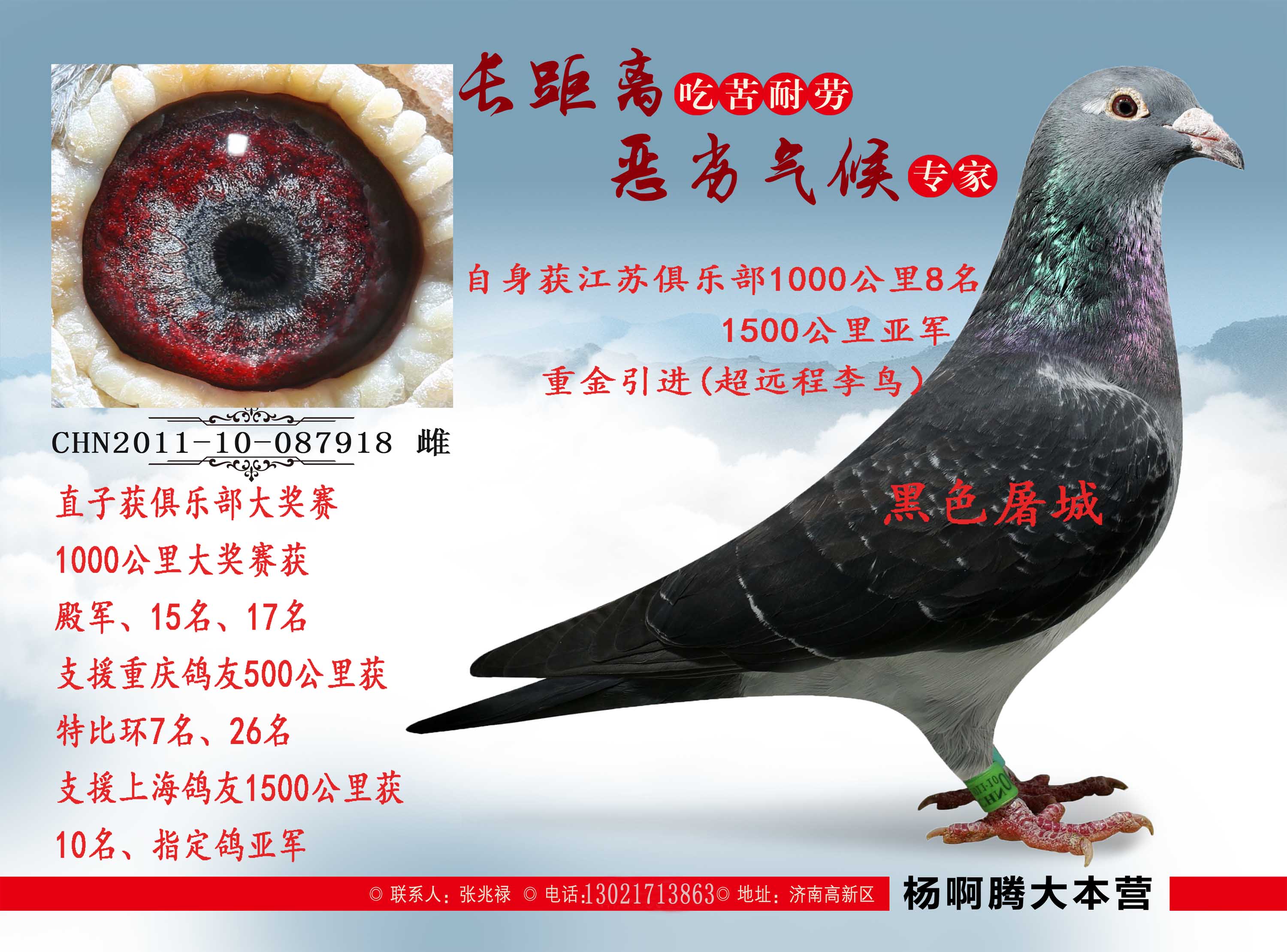 >> 查看拍卖商品