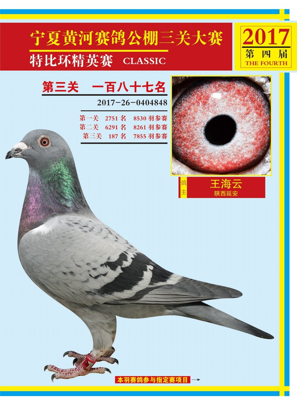 信鸽拍卖首页 拍卖专题 查看拍卖商品 编号:610527 足环号: 性别:不详