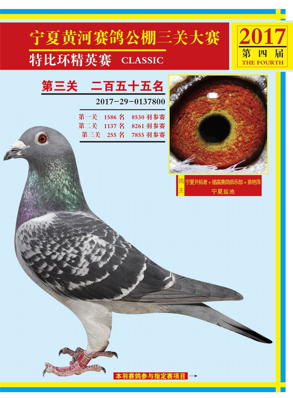 宁夏黄河决赛255名