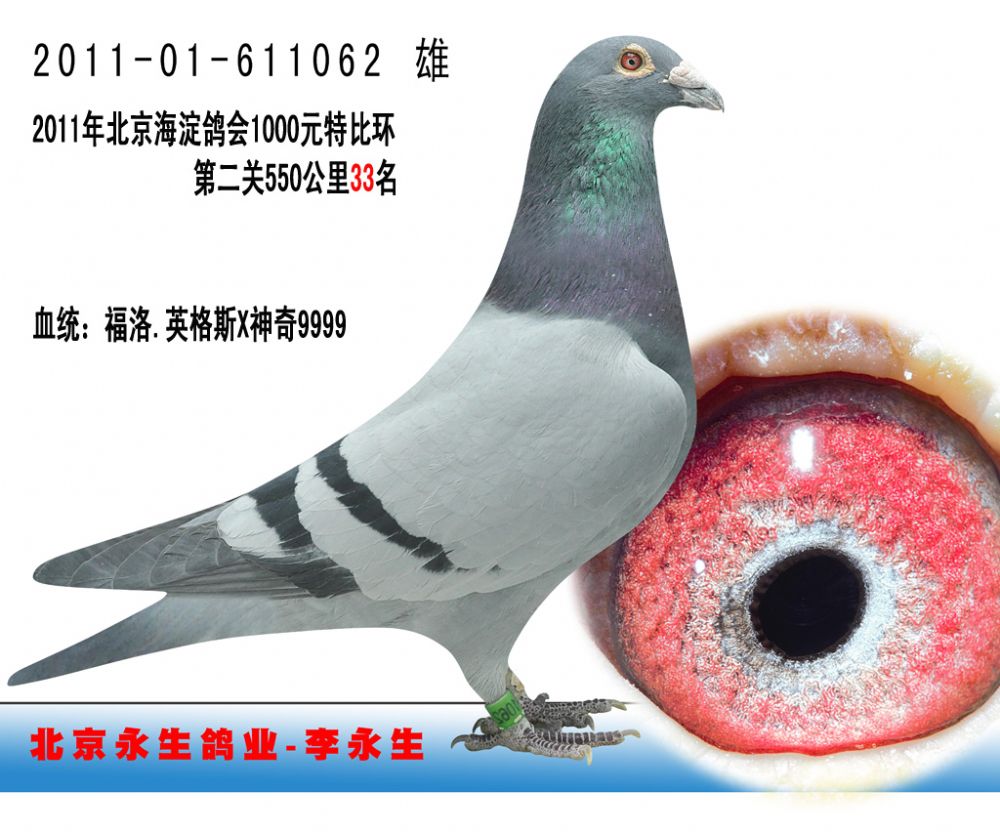 >> 查看拍卖商品