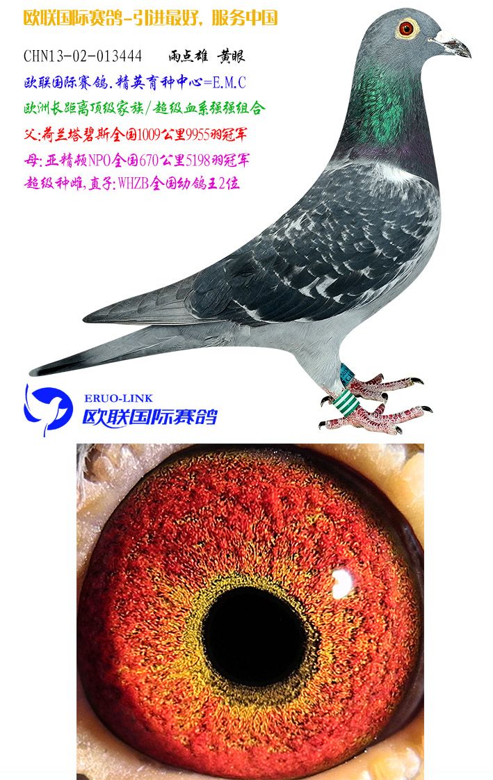 444 保证金级 拍卖