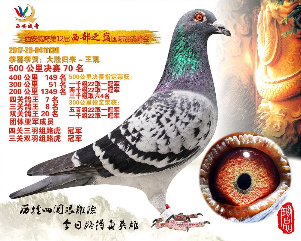 西安威奇决赛70名