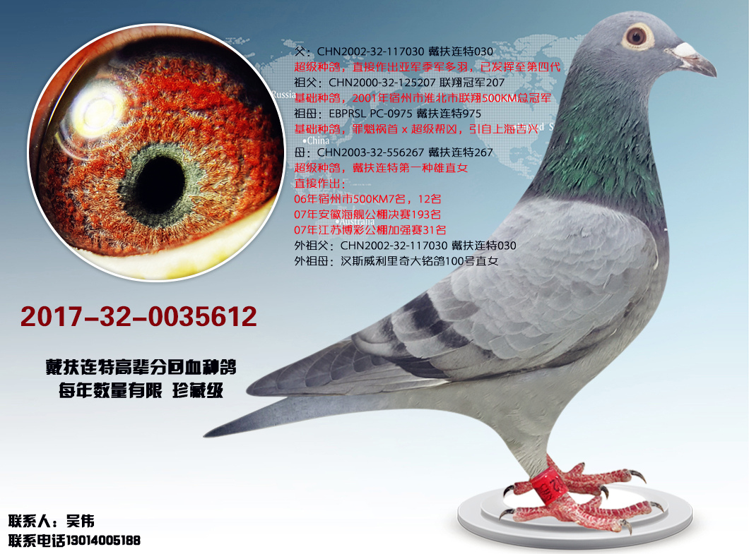 戴扶连特612 保证金级 拍卖