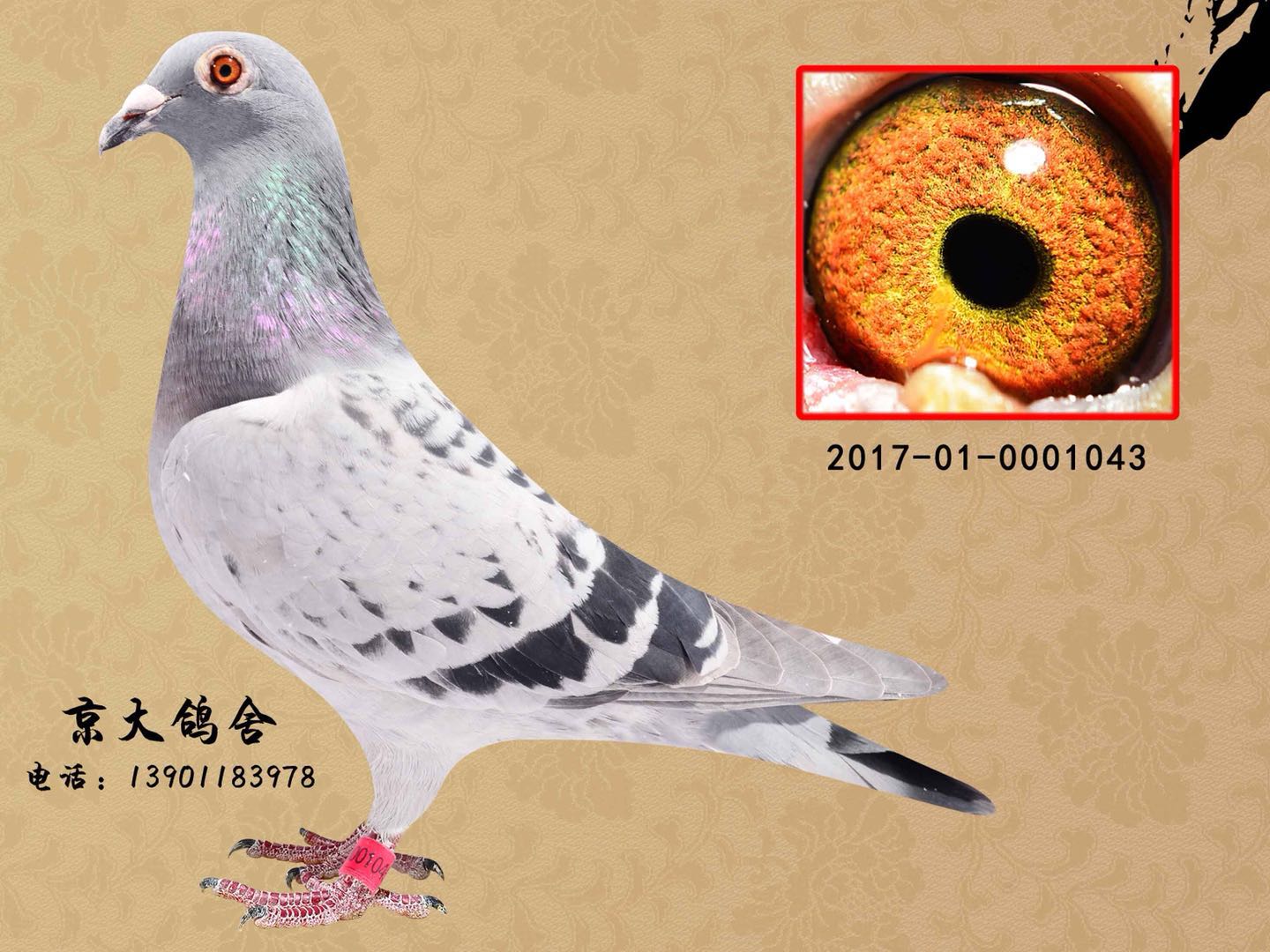 >> 查看拍卖商品