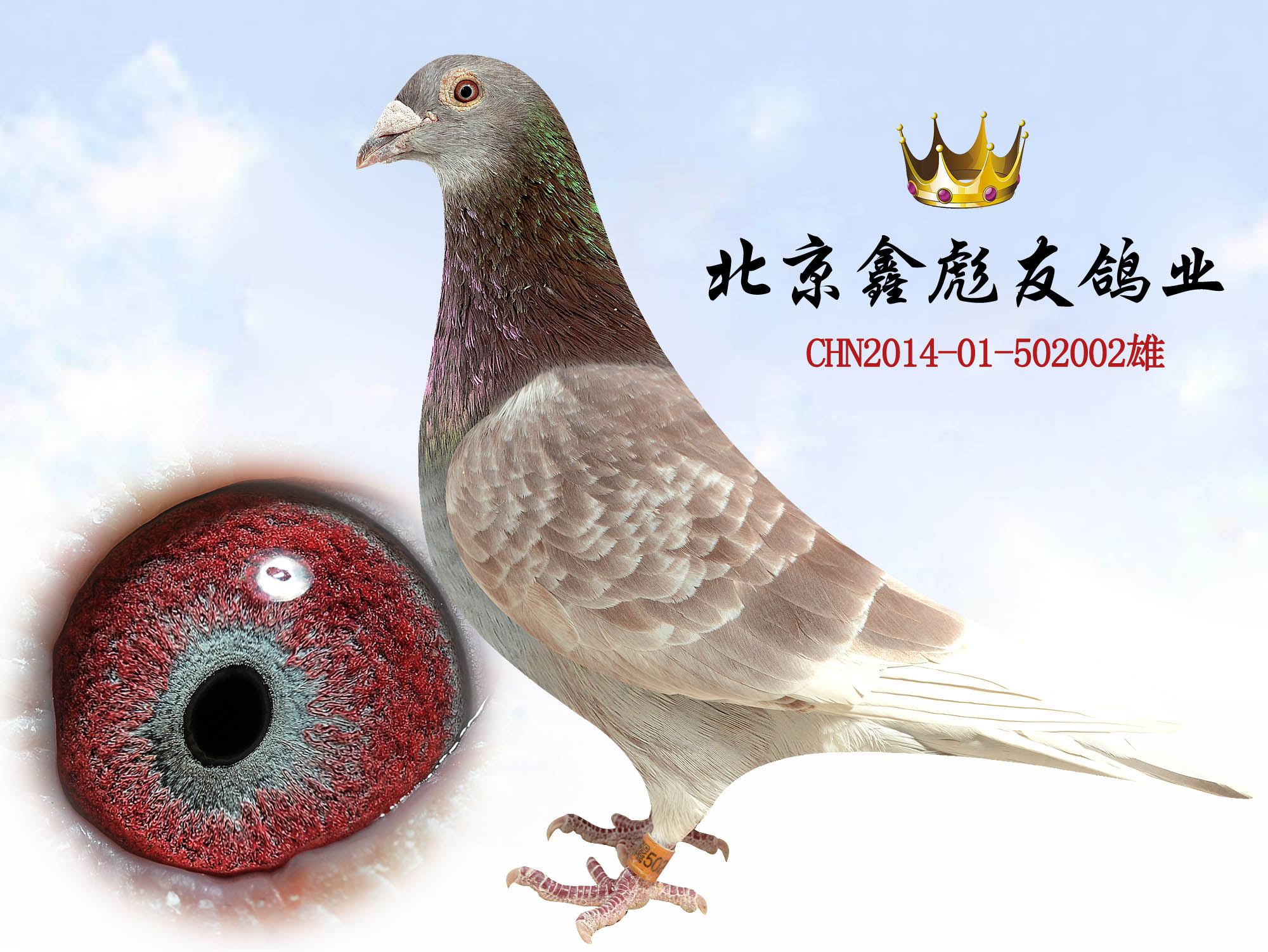 >> 查看拍卖商品