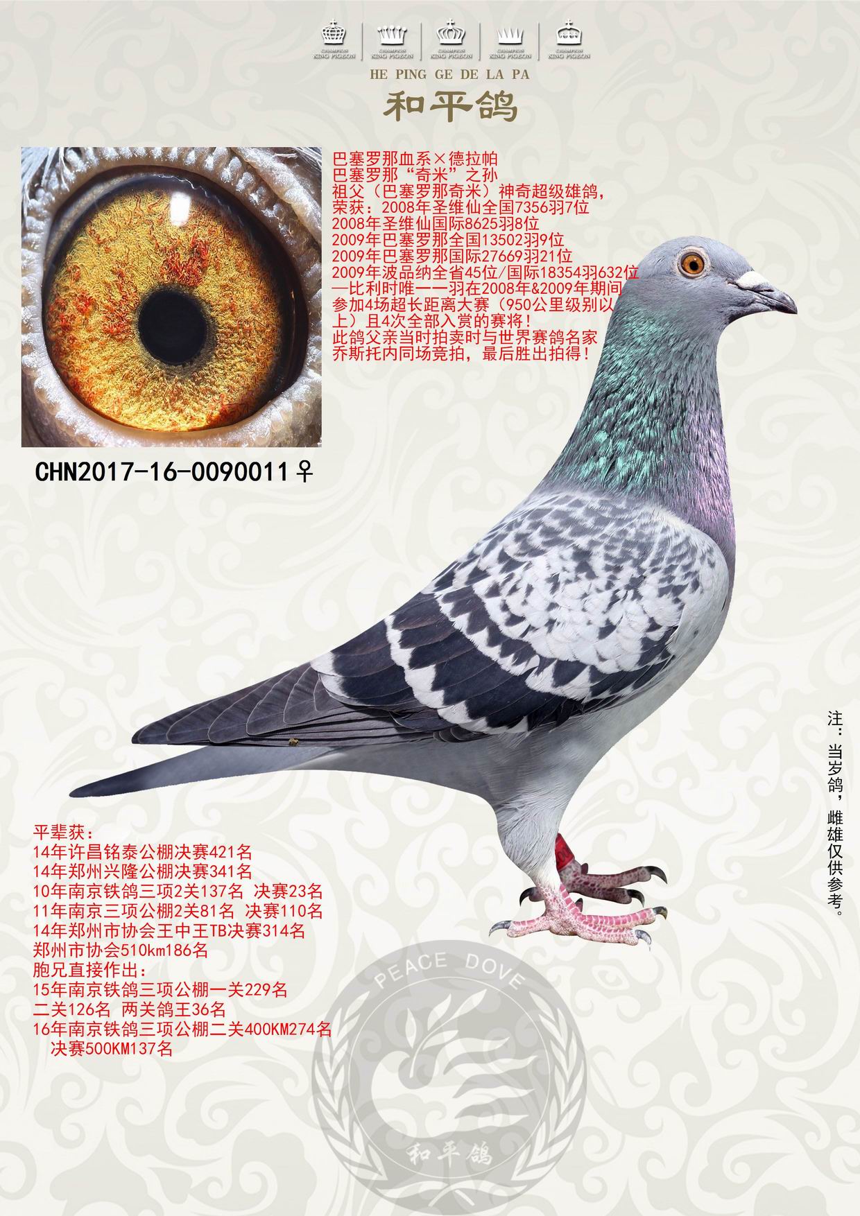 德拉帕×巴塞罗那冠军血系 保证金级 拍卖