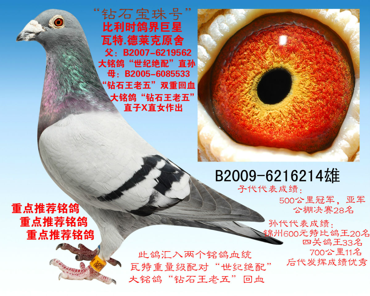 重点推荐瓦特.德雷克原舍"世纪绝配" 保证金级 拍卖